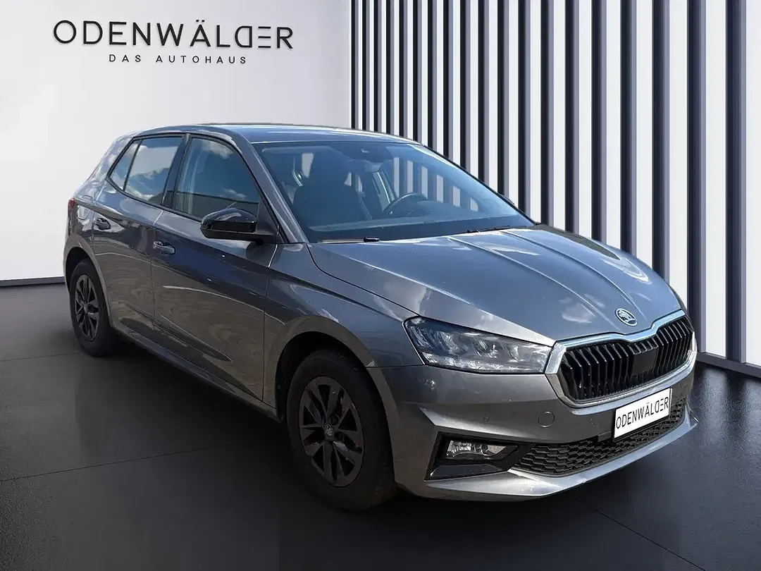 Skoda Fabia - Thumbnail 13