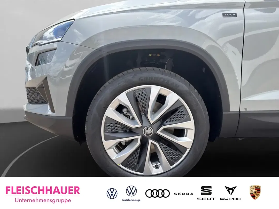 Skoda Karoq - Thumbnail 14
