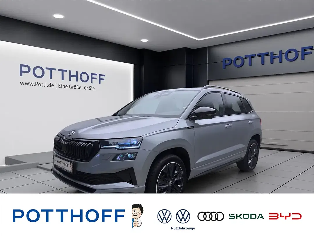 Skoda Karoq - Thumbnail 1