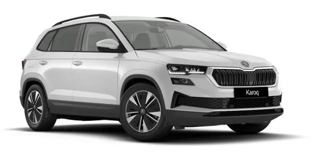 Skoda Karoq - Thumbnail 14