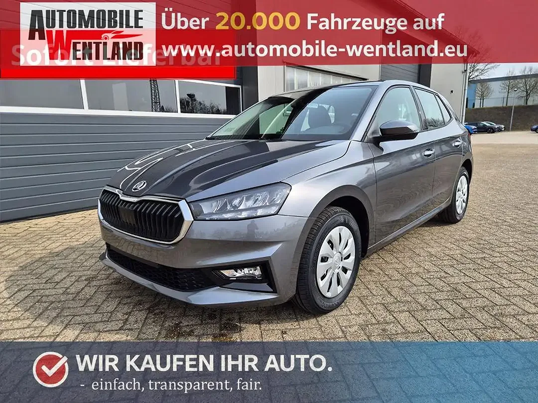 Skoda Fabia - Afbeelding 1