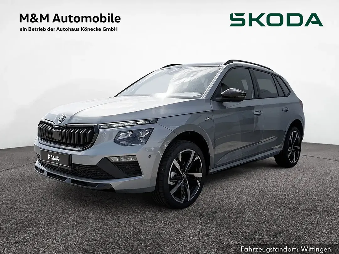 Skoda Kamiq - Thumbnail 1