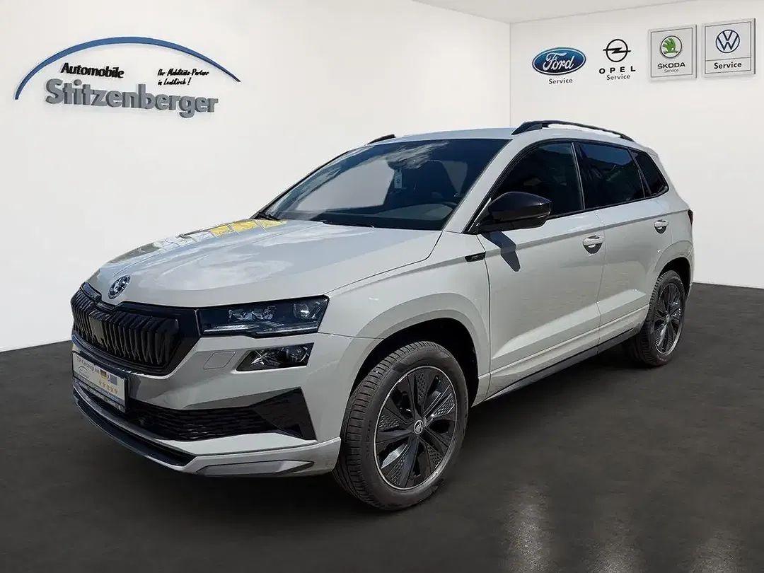 Skoda Karoq - Thumbnail 1