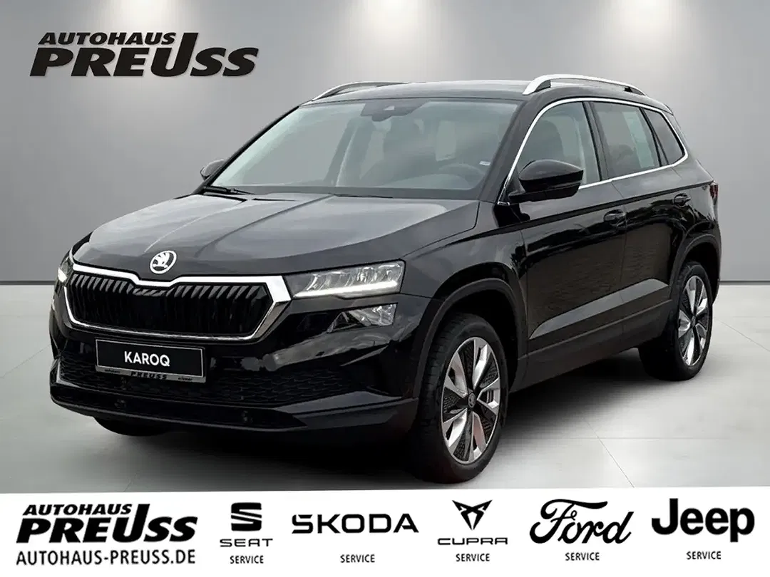 Skoda Karoq - Thumbnail 1
