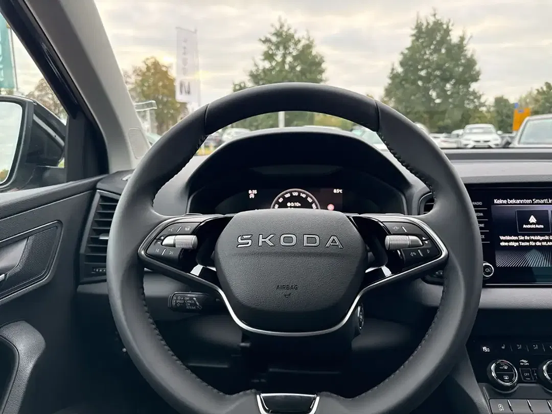 Skoda Karoq - Thumbnail 14