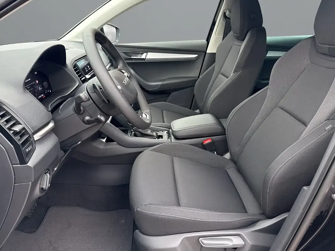 Skoda Karoq - Thumbnail 9