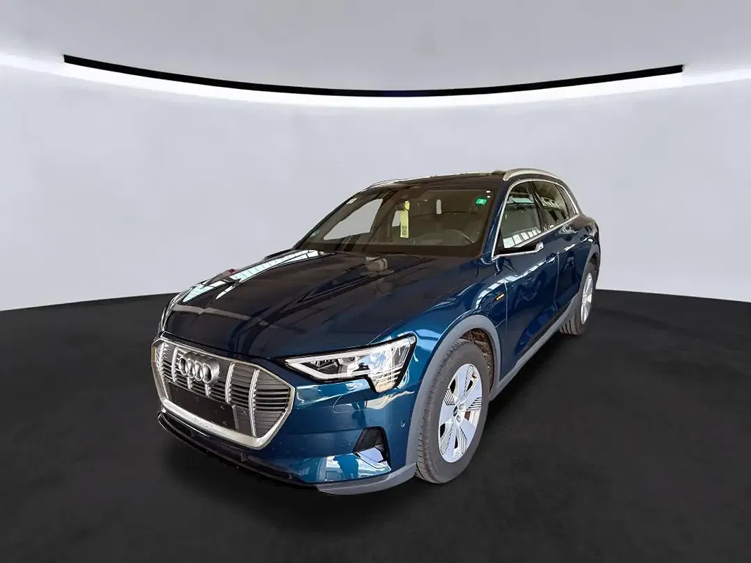 Audi e-tron 55 Matrix LED S line - foto 2