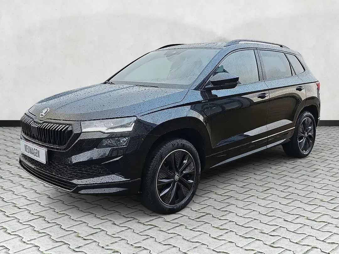 Skoda Karoq - Thumbnail 3