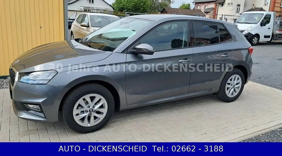Skoda Fabia - Afbeelding 1