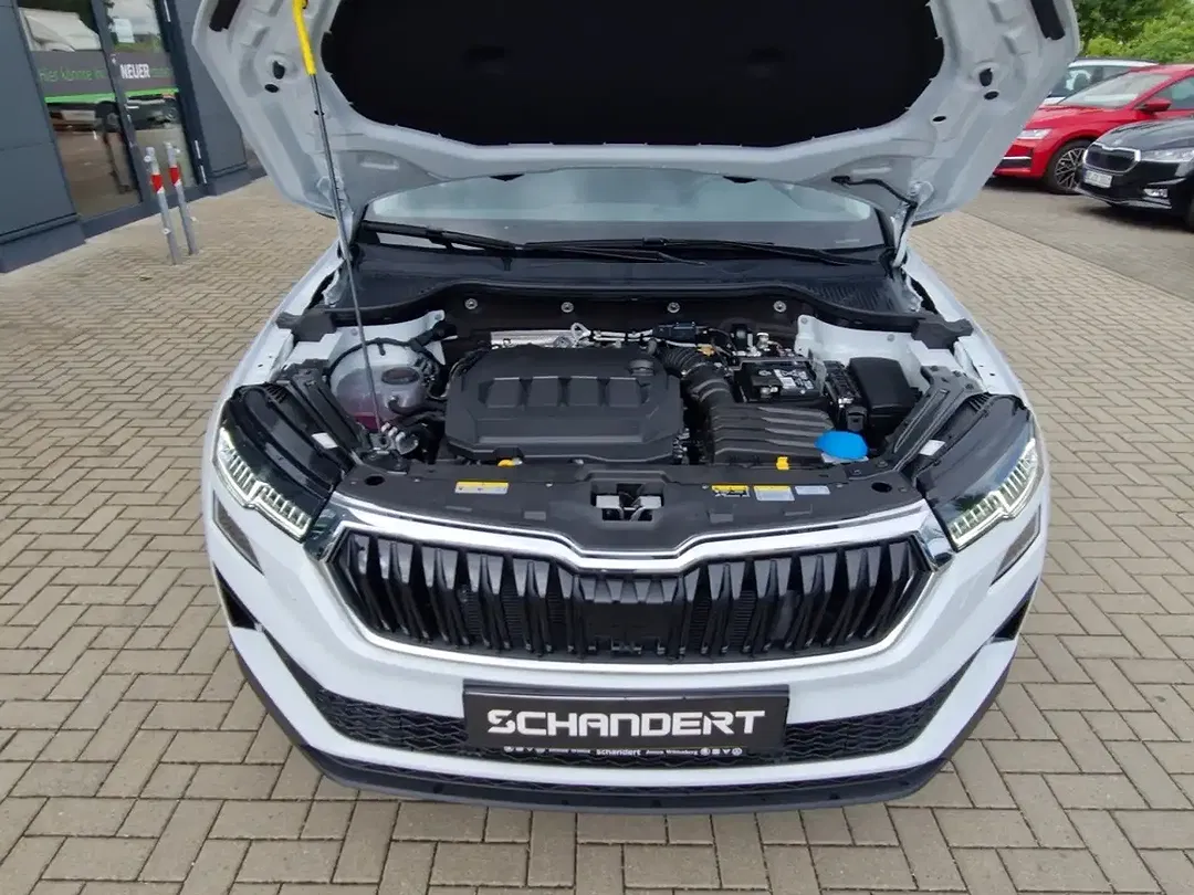 Skoda Karoq - Thumbnail 15