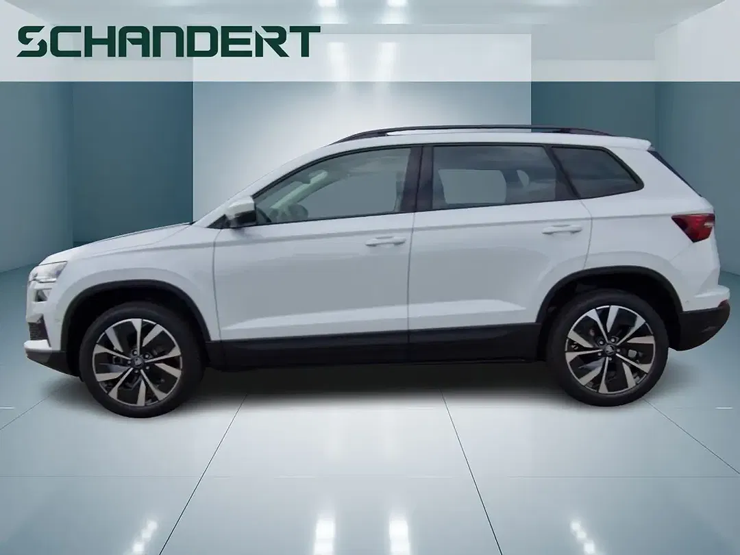 Skoda Karoq - Thumbnail 2