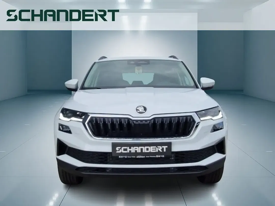 Skoda Karoq - Thumbnail 5