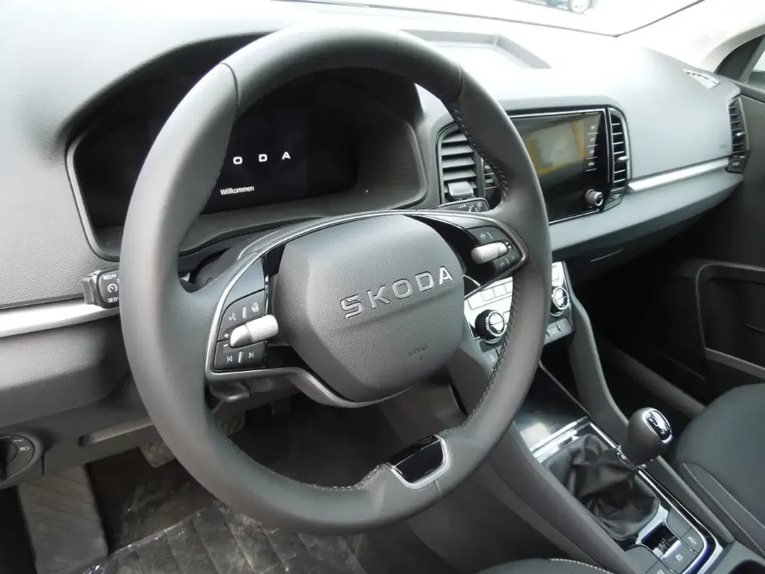 Skoda Karoq - Thumbnail 6