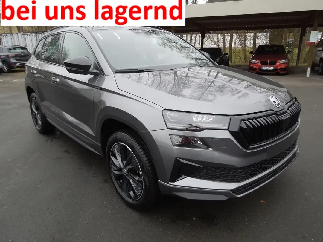 Skoda Karoq - Afbeelding 1