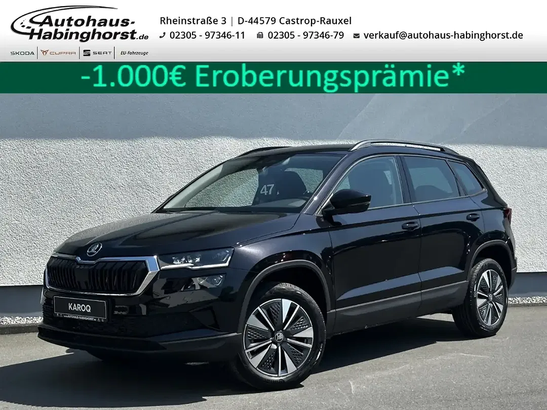 Skoda Karoq - Thumbnail 1