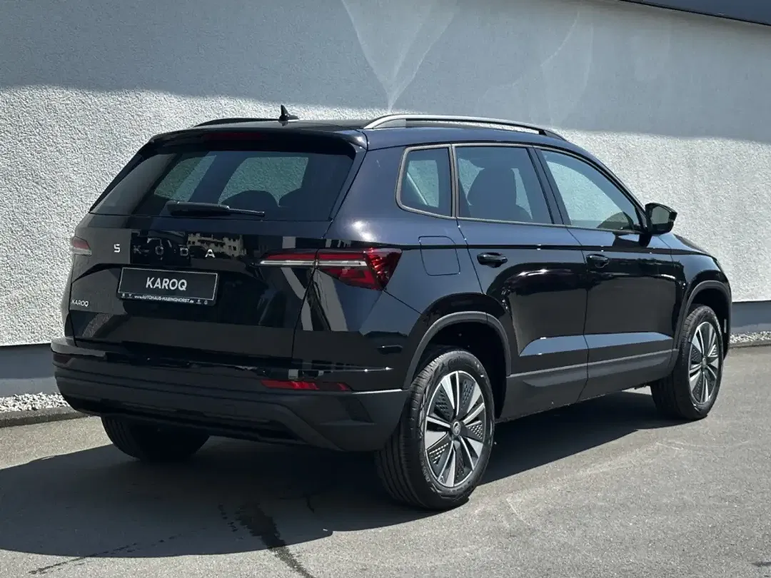 Skoda Karoq - Thumbnail 2