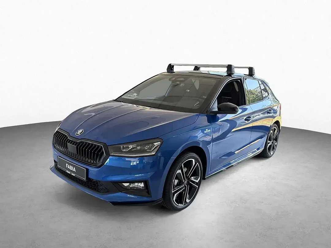 Skoda Fabia - Thumbnail 12