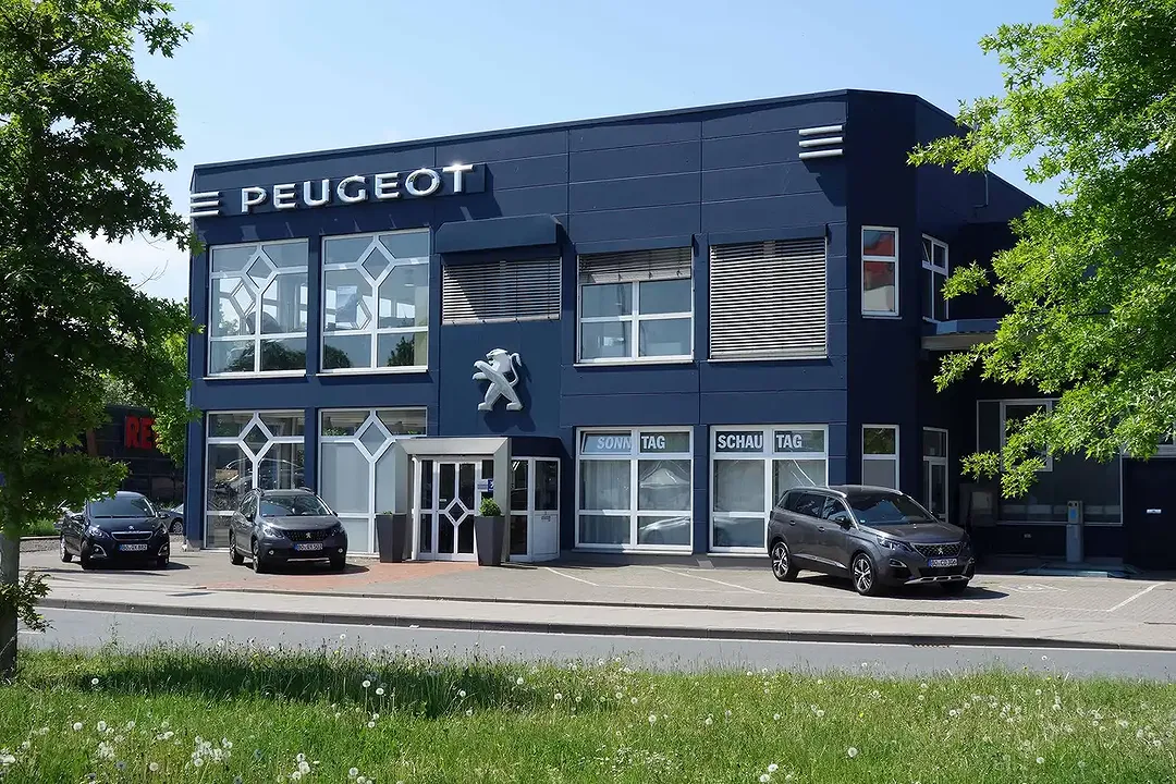 Peugeot 2008 - Thumbnail 15