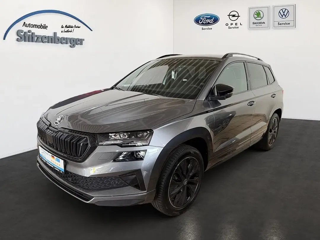 Skoda Karoq - Thumbnail 1