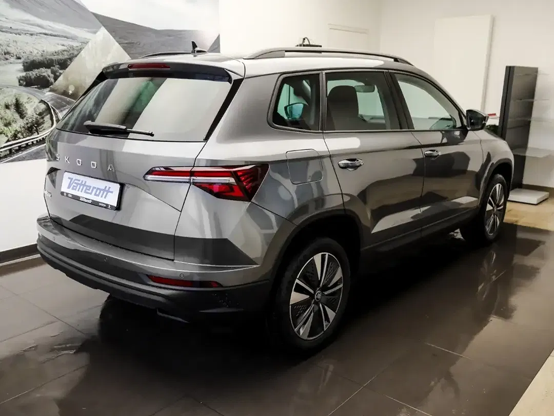 Skoda Karoq - Thumbnail 4