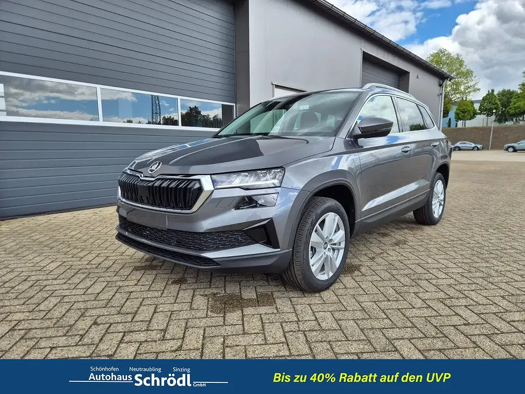 Skoda Karoq - Thumbnail 8
