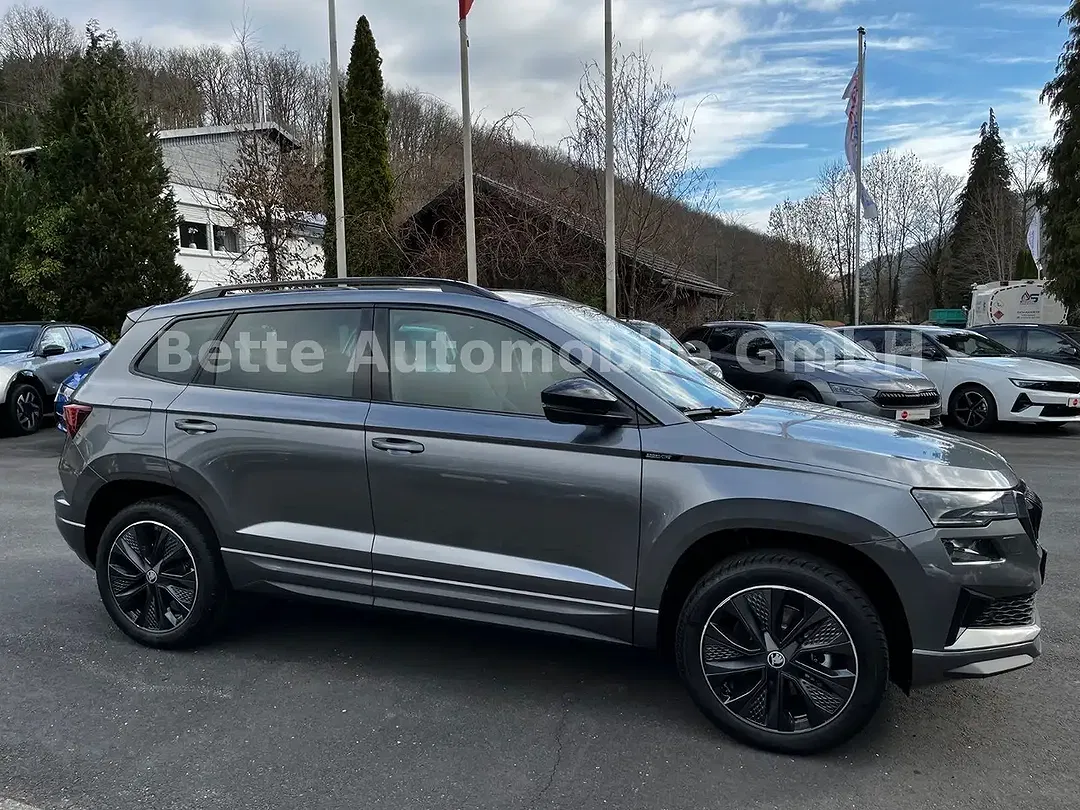 Skoda Karoq - Thumbnail 3