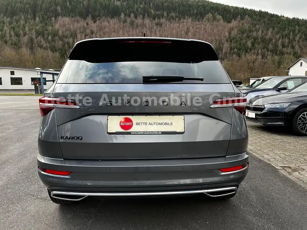 Skoda Karoq - Thumbnail 7