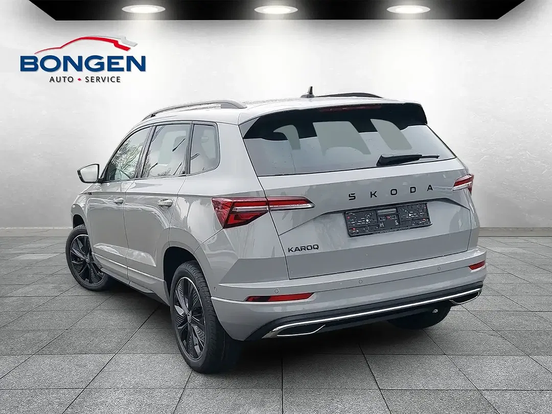Skoda Karoq - Thumbnail 4