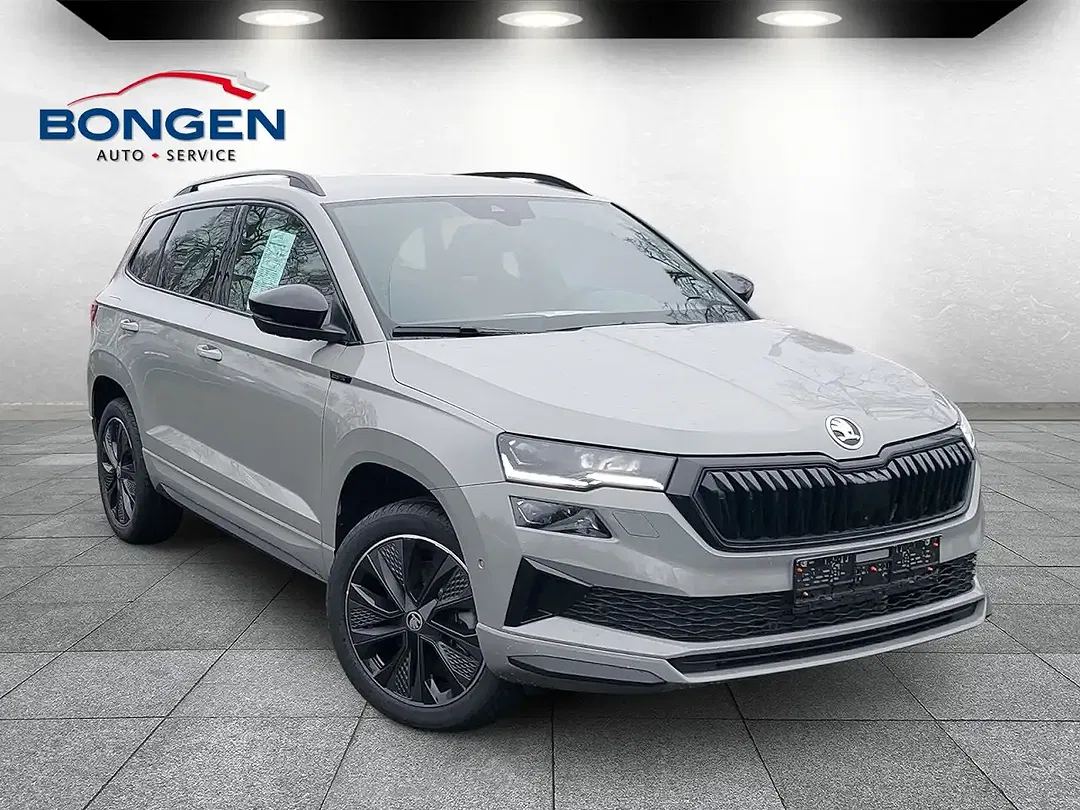 Skoda Karoq - Thumbnail 5