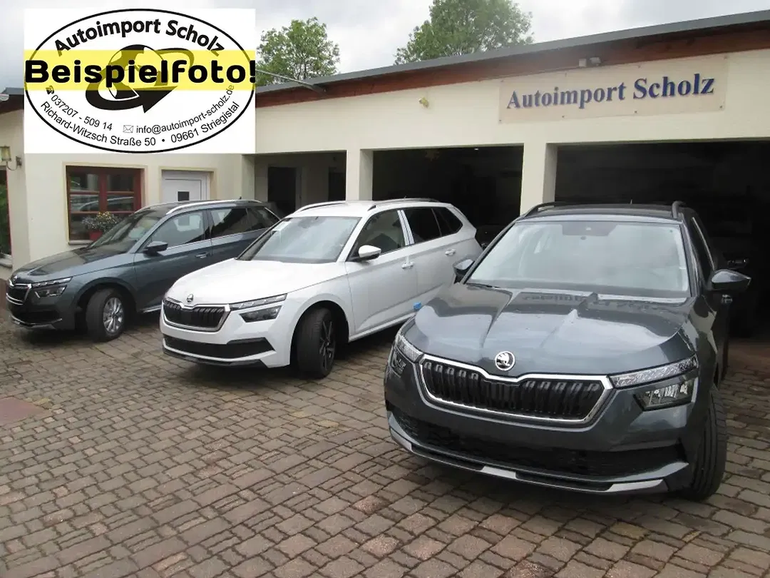 Skoda Kamiq - Thumbnail 10