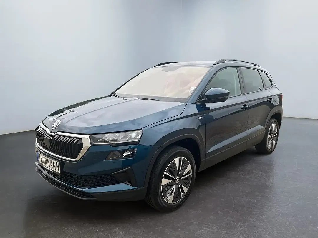 Skoda Karoq - Thumbnail 2