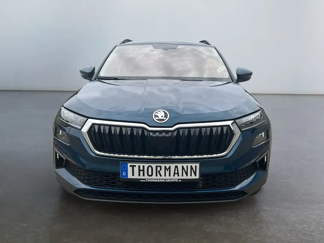 Skoda Karoq - Thumbnail 6