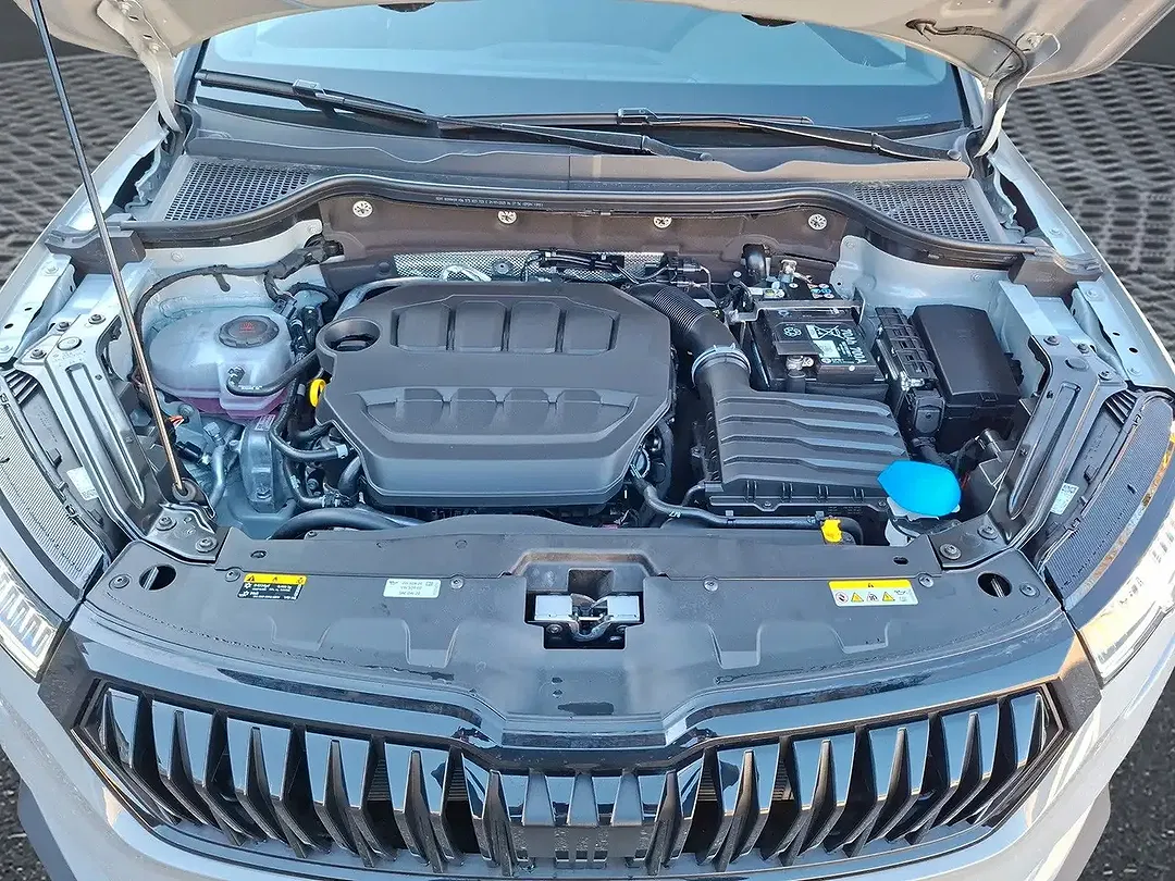 Skoda Karoq - Thumbnail 14