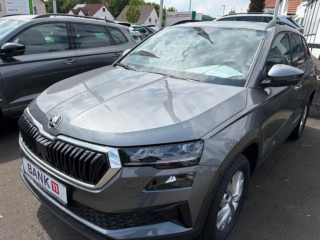 Skoda Karoq - Thumbnail 1
