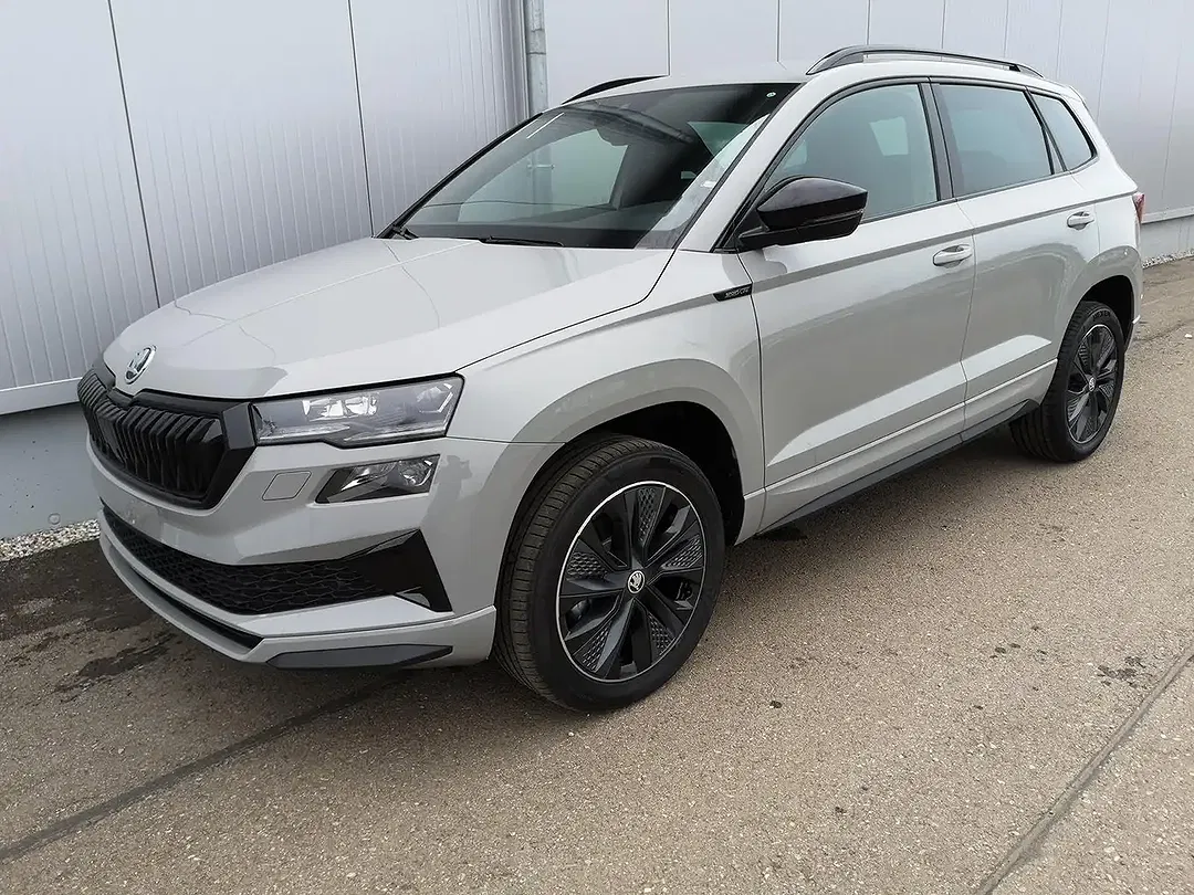 Skoda Karoq - Thumbnail 1