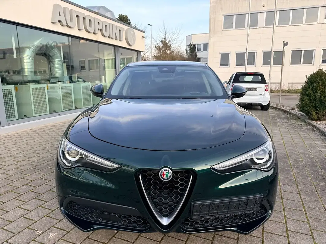 Alfa Romeo Stelvio Q4 Business - foto 1