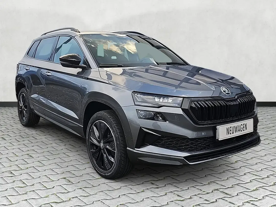 Skoda Karoq - Thumbnail 1