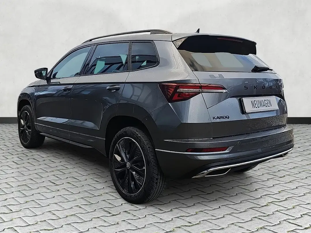 Skoda Karoq - Thumbnail 19