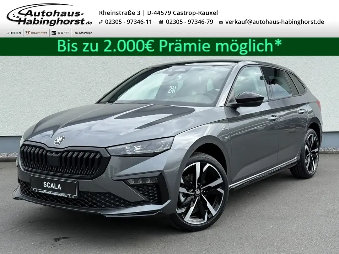 Skoda Scala - Thumbnail 1