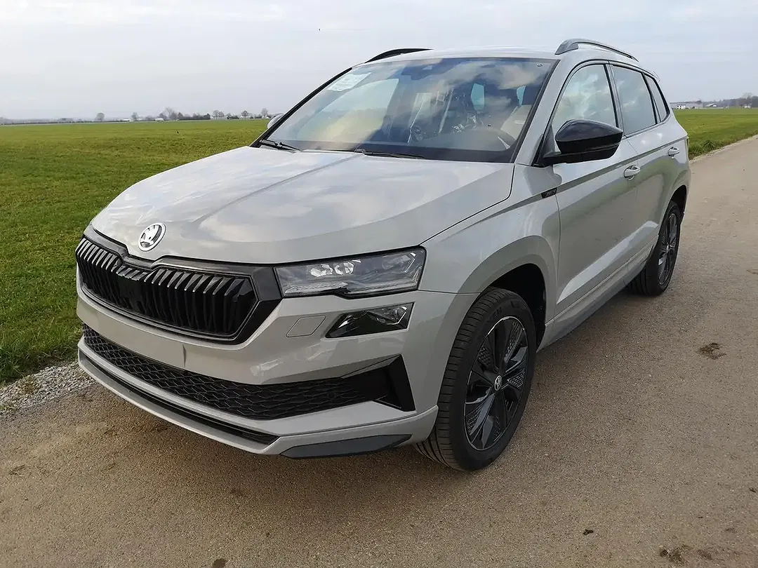 Skoda Karoq - Thumbnail 1