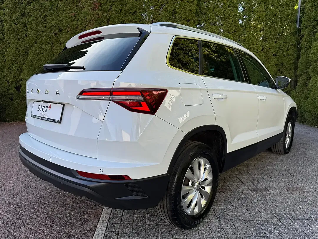 Skoda Karoq - Thumbnail 7