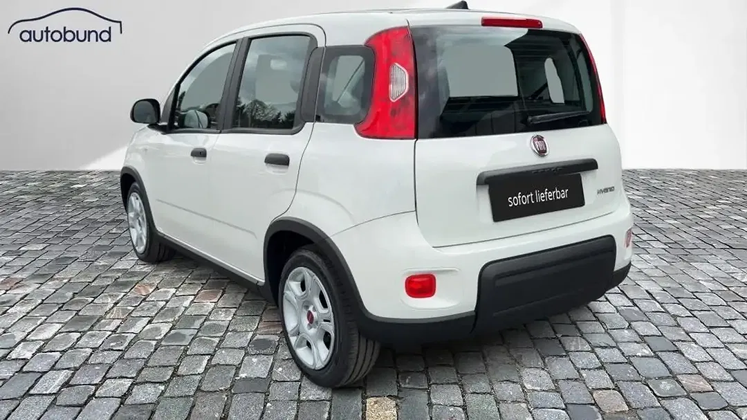 Fiat Panda 1.0 Hybrid Basis - foto 2