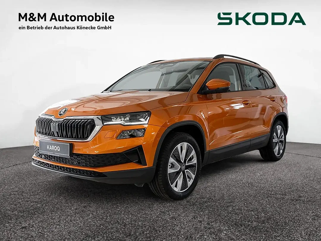 Skoda Karoq - Afbeelding 1