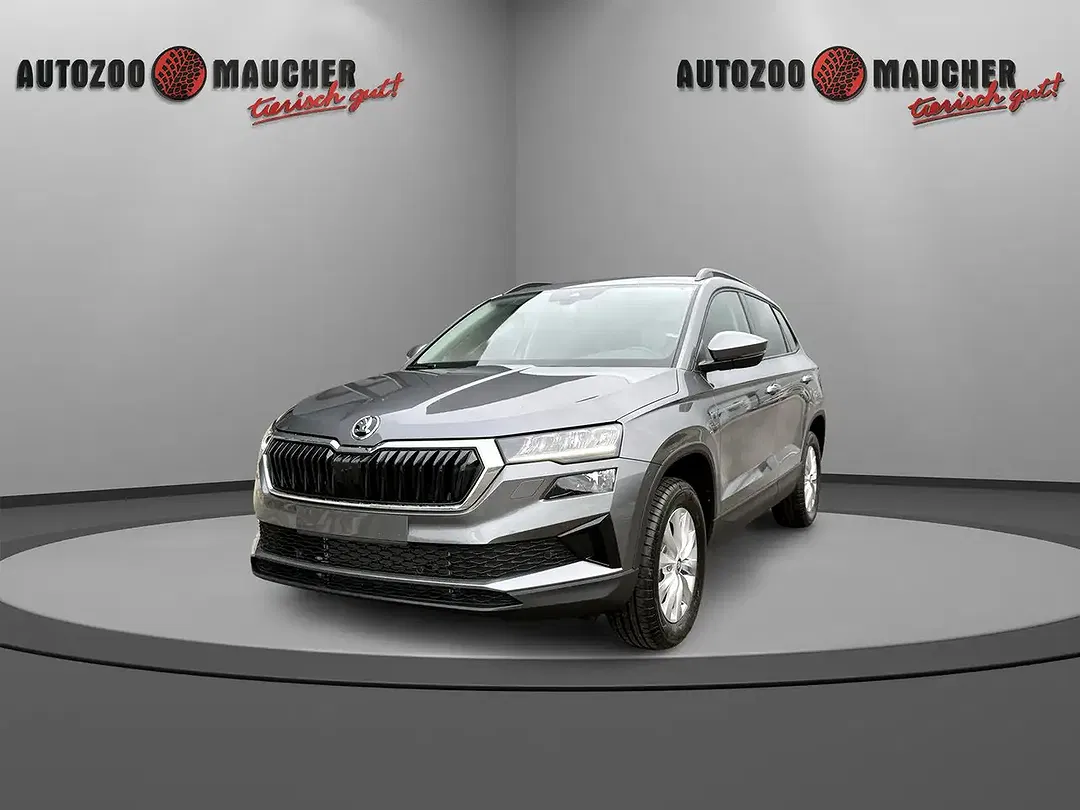 Skoda Karoq - Thumbnail 1