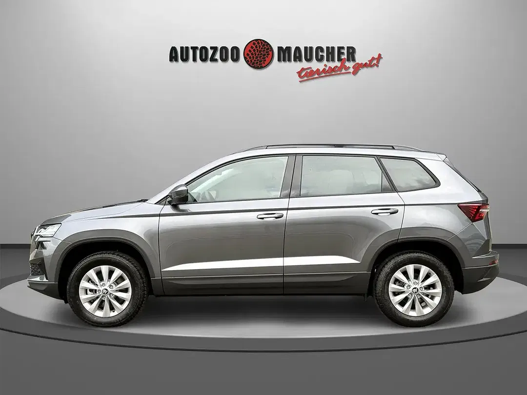 Skoda Karoq - Thumbnail 2