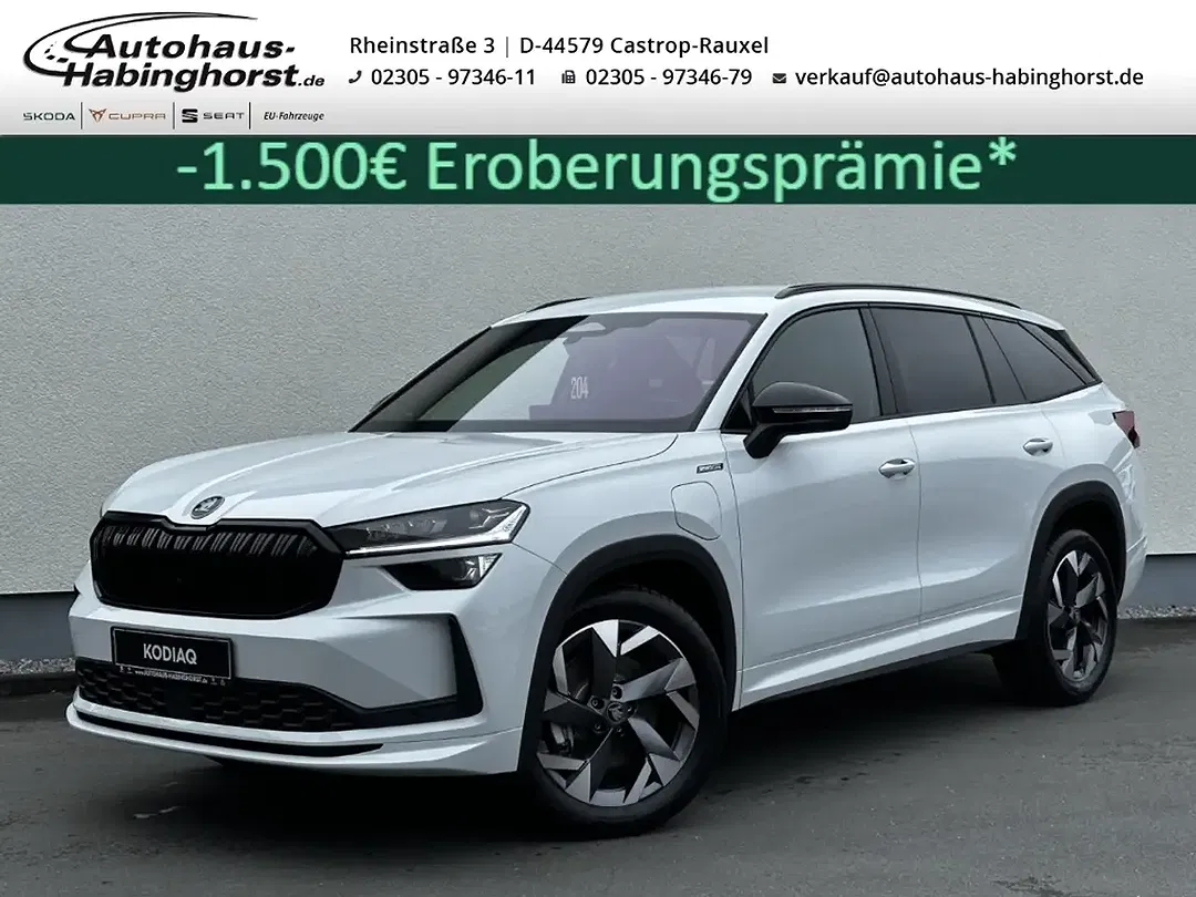 Skoda Kodiaq - Thumbnail 1