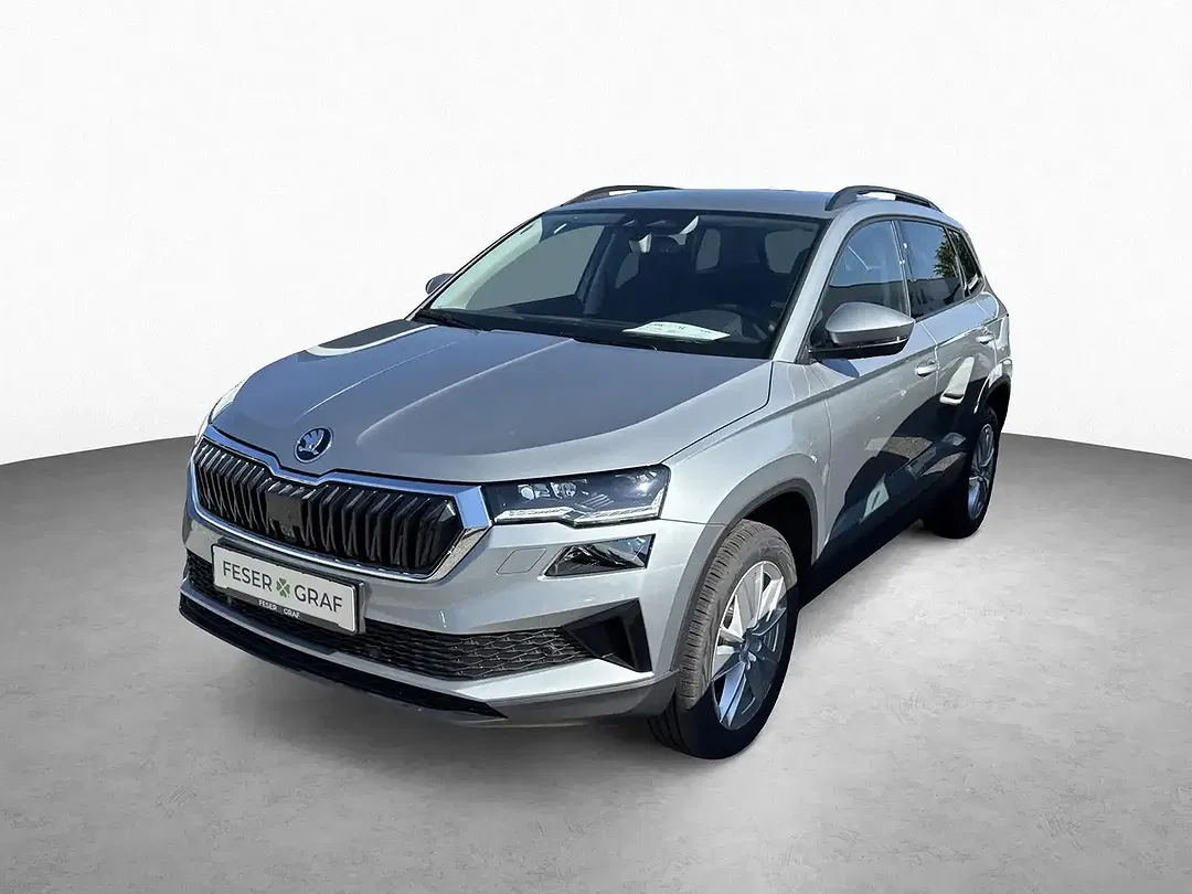 Skoda Karoq - Thumbnail 14
