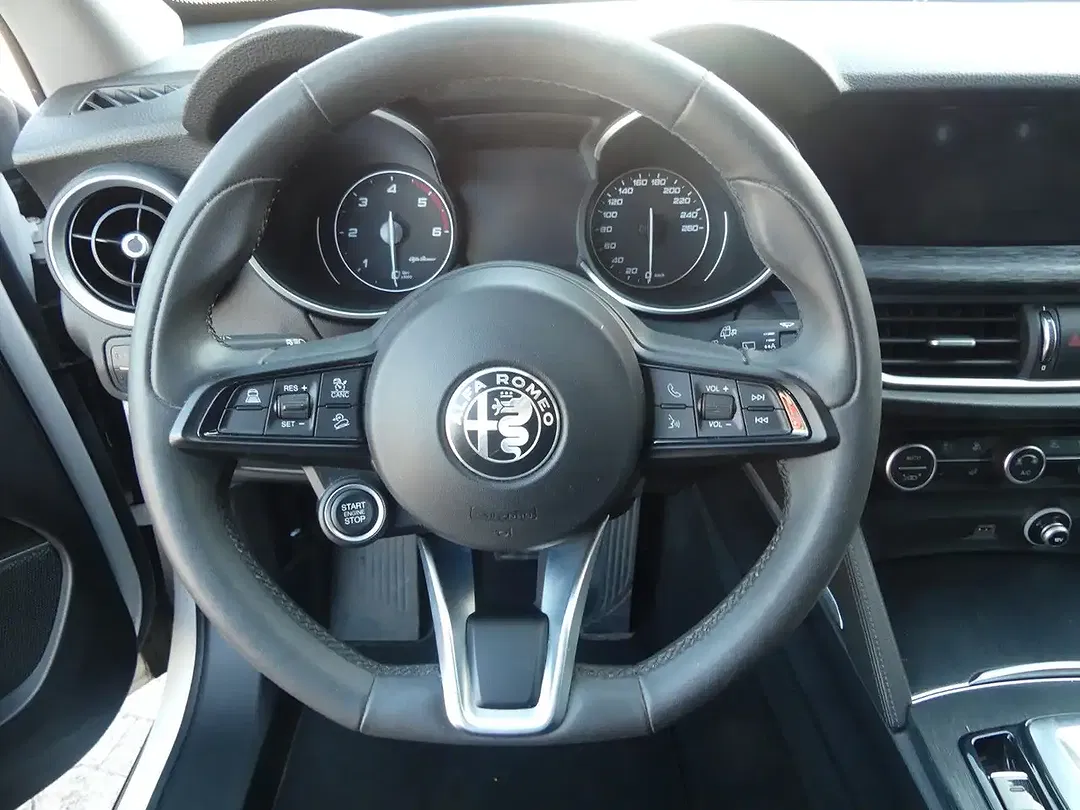 Alfa Romeo Stelvio Q4 Business - foto 15