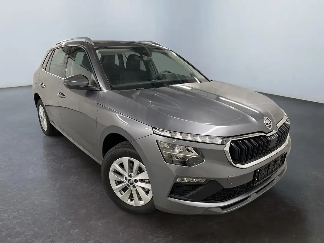 Skoda Kamiq - Thumbnail 1