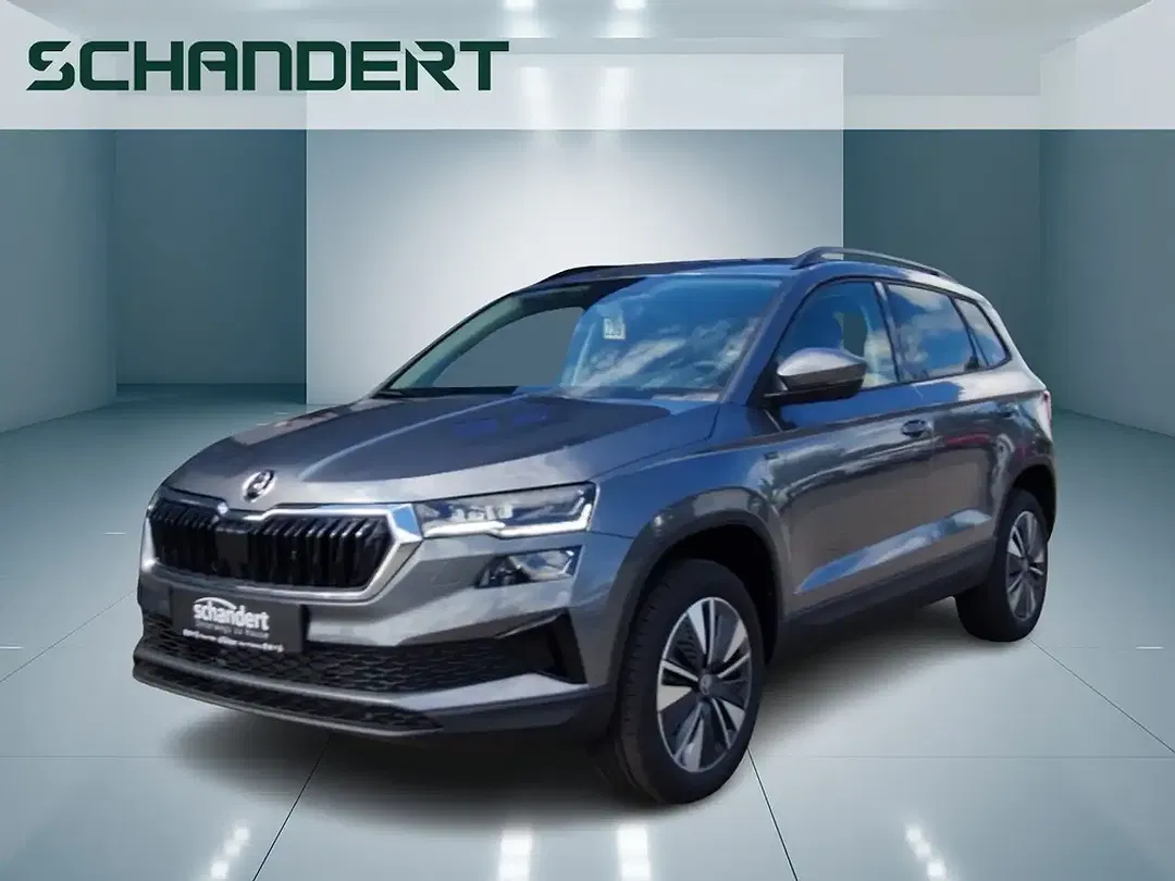 Skoda Karoq - Thumbnail 1